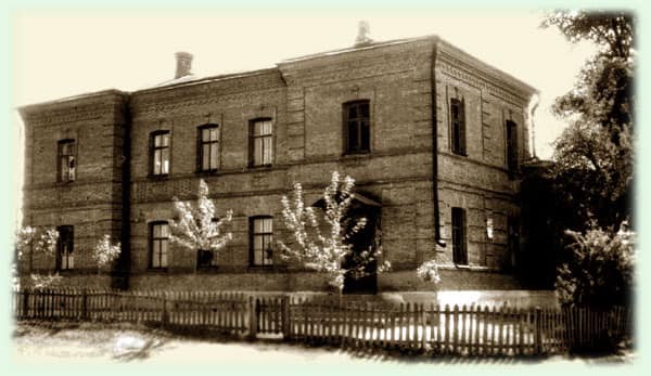 На Чернігівщині є школа, побудована з цегли ручної роботи (Фото)