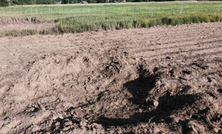 Наслідки обстрілу прикордонного села на Чернігівщині (Фото)