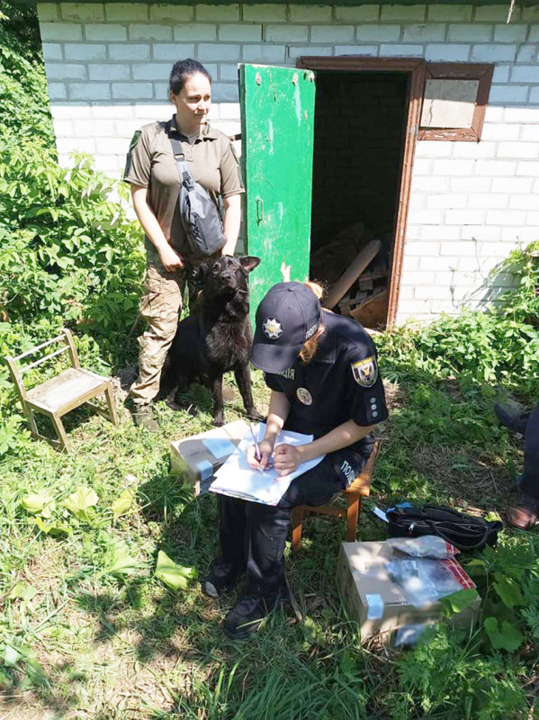 Поліцейські викрили мешканця Чернігівського району у незаконному вирощуванні конопель та зберіганні наркотичних засобів (Фото)