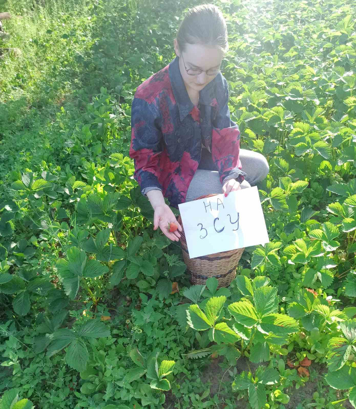 Полуницю виростили і продали, а кошти – на військові потреби: ініціатива матері і доньки з села на Чернігівщині