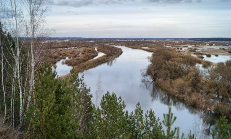 Пушкарі – мальовниче село на Чернігівщині (Фото)