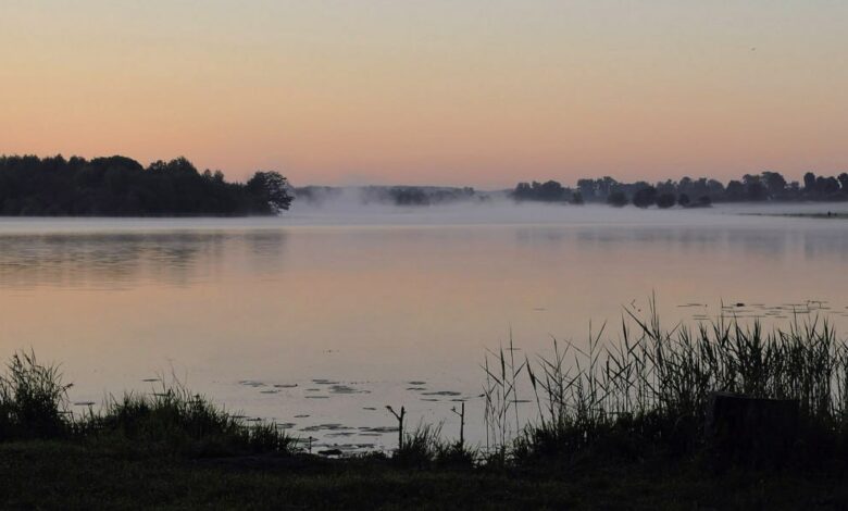 Пушкарі – мальовниче село на Чернігівщині (Фото)