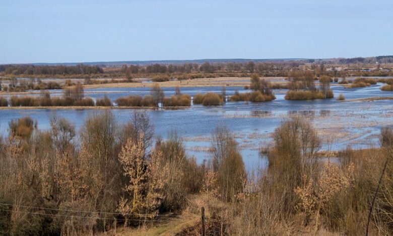 Пушкарі – мальовниче село на Чернігівщині (Фото)