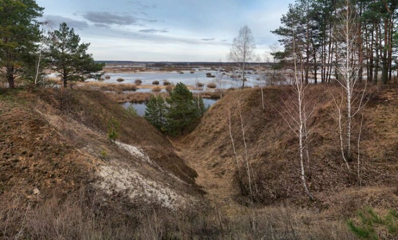 Пушкарі – мальовниче село на Чернігівщині (Фото)