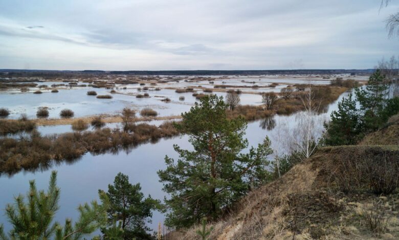 Пушкарі – мальовниче село на Чернігівщині (Фото)