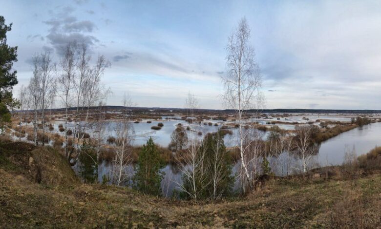 Пушкарі – мальовниче село на Чернігівщині (Фото)