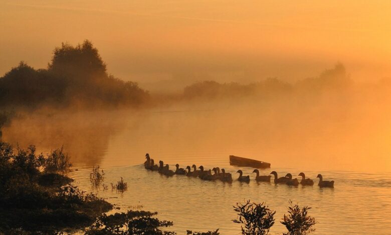 Пушкарі – мальовниче село на Чернігівщині (Фото)