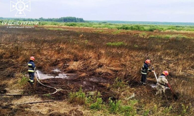 Спалювання сухого листя: за минулий тиждень на Чернігівщині сталося 17 пожеж