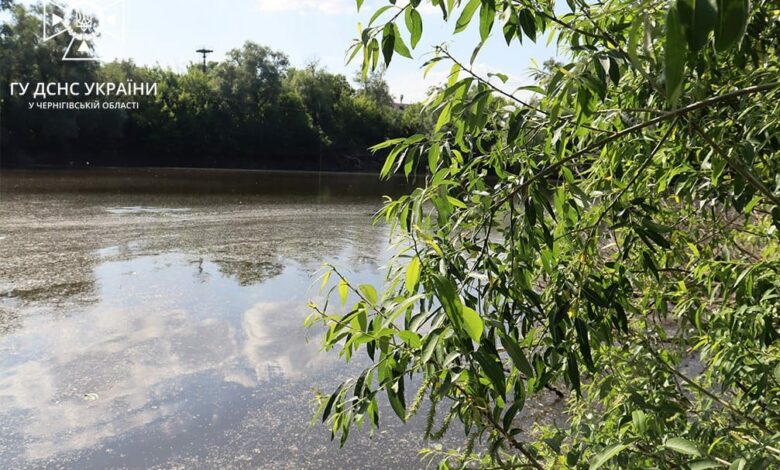 У Ніжинському районі потонула 7-річна дитина