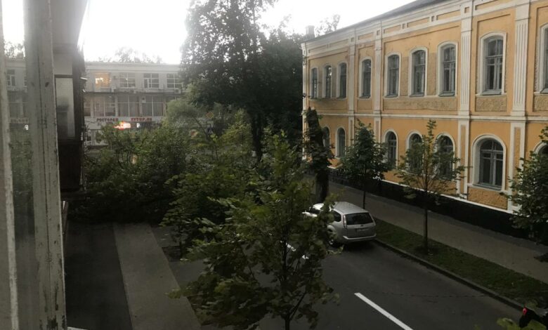 Через буревій у Чернігові впало дерево (Фотофакт)