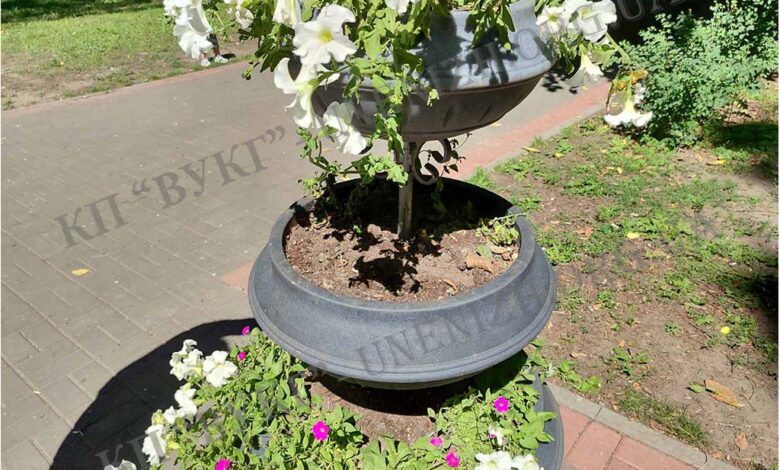 Квіткові злодії тероризують Ніжин (Фото)