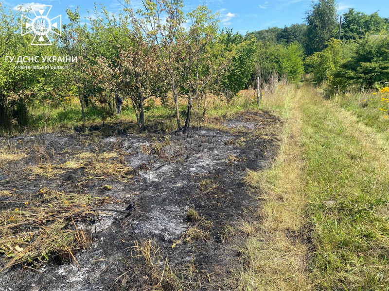 На Чернігівщині необережне поводження з вогнем призвело до загибелі літнього чоловіка (Фото)