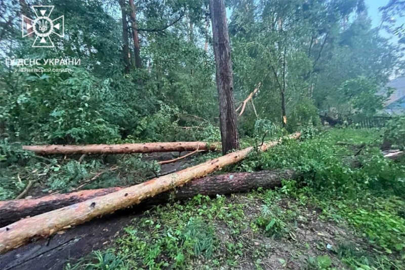 На Чернігівщині рятувальники за добу 8 разів залучались до ліквідації пожеж та надзвичайних подій