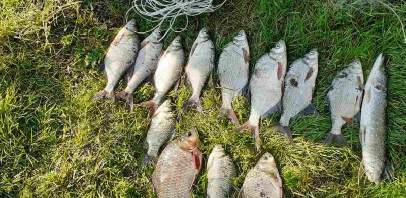 На Чернігівщині затримали двох рибалок-браконьєрів