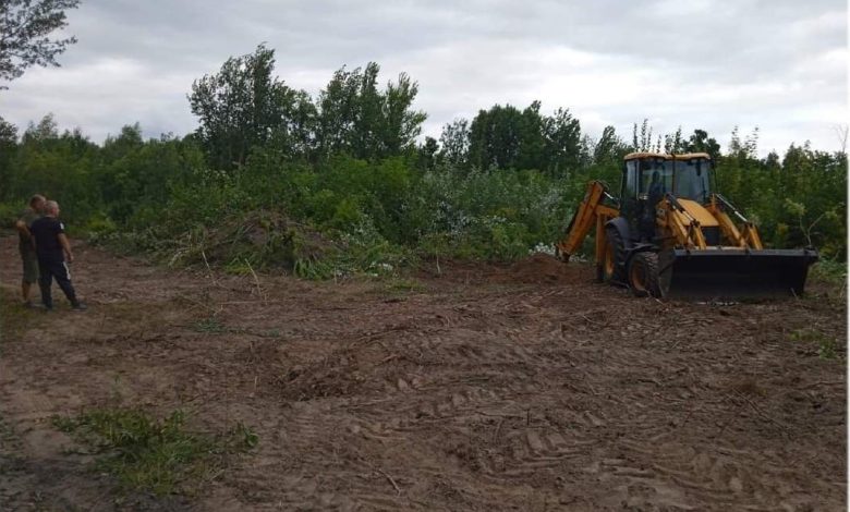 Прокуратура займеться питаннями вирубки дерев у Ялівщині