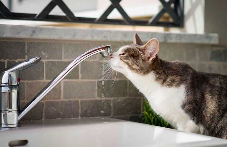 Частина жителів Чернігова – без води