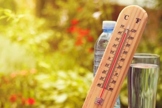 До 37º тепла: синоптики попереджають про підвищення температури на Чернігівщині