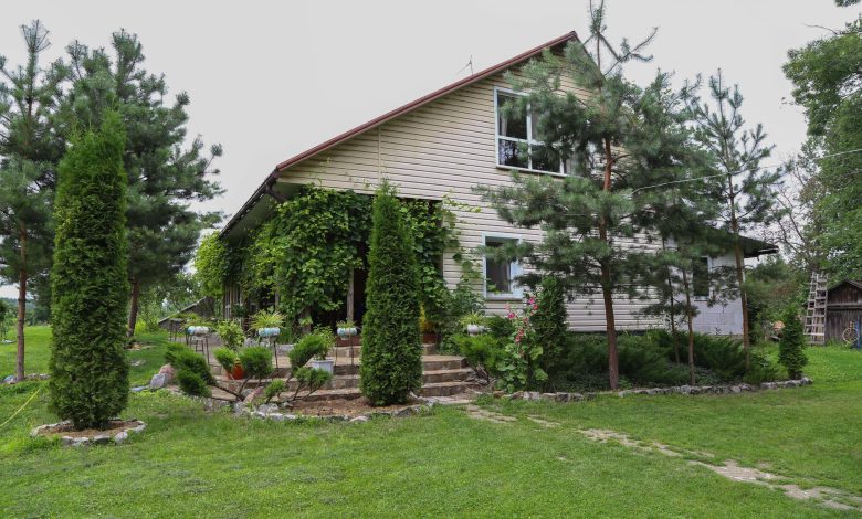 Екосадиба на Чернігівщині пропонує прихисток