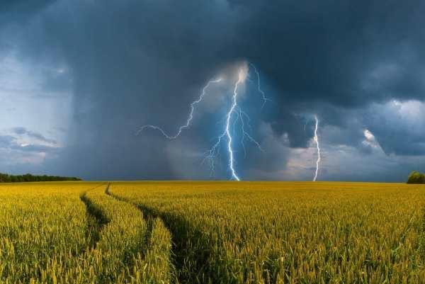 Грози і шквали вітру: на Чернігівщині оголосили штормове попередження