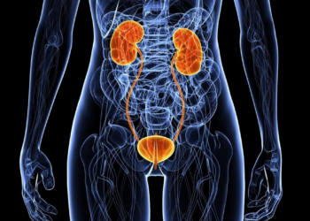 Канефрон Н: природное средство для лечения цистита и не только