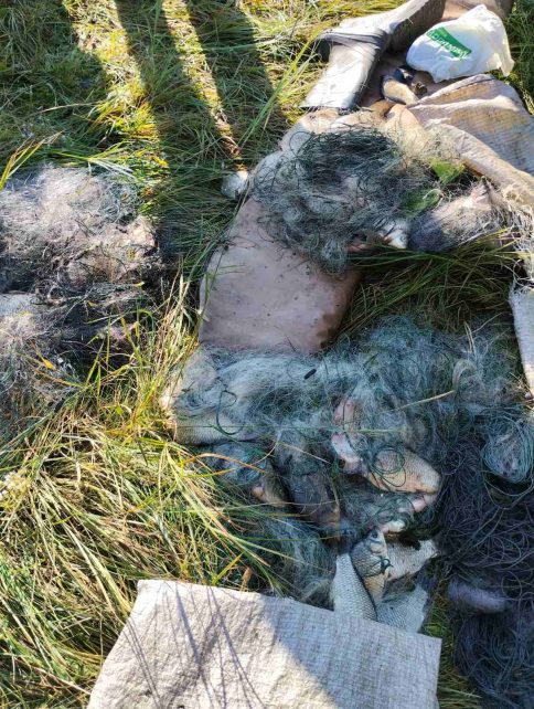 На Чернігівщині браконьєр незаконно наловив риби на понад 175 тисяч