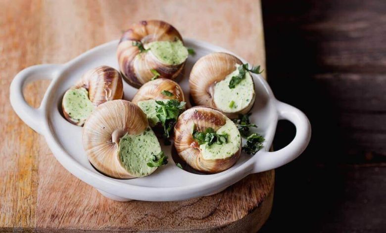 На Чернігівщині розводять їстівних равликів