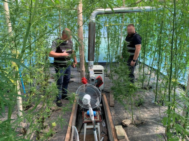 На Чернігівщині викрили чоловіка в незаконному вирощуванні конопель і зберіганні зброї