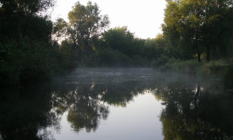 На Чернігівщині втопився 16-річний хлопець