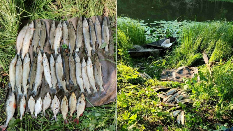 На Менщині браконьєр завдав збитків рибному господарству на понад 100 тисяч гривень