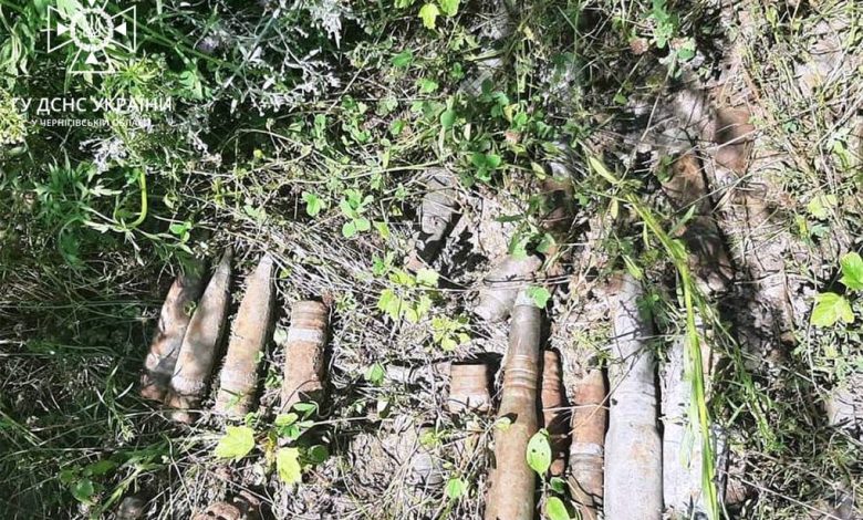 Піротехніки продовжують розмінування населених пунктів і сільськогосподарських угідь області (Фото)