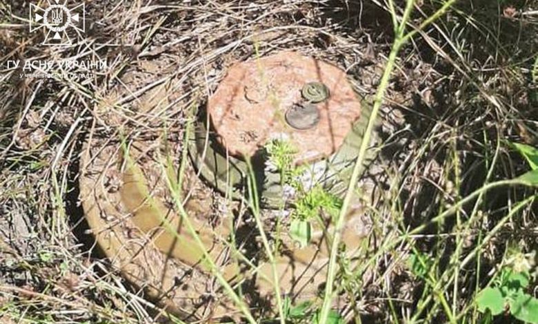 Піротехніки продовжують розмінування населених пунктів і сільськогосподарських угідь області (Фото)