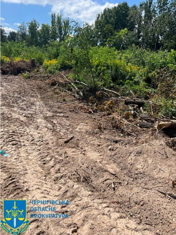 Розорані земельні ділянки у Ялівщині взяли під арешт