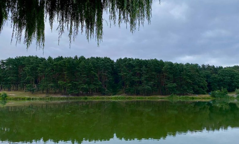 Скандальні земельні наділи в «Ялівщині»: продовження історії