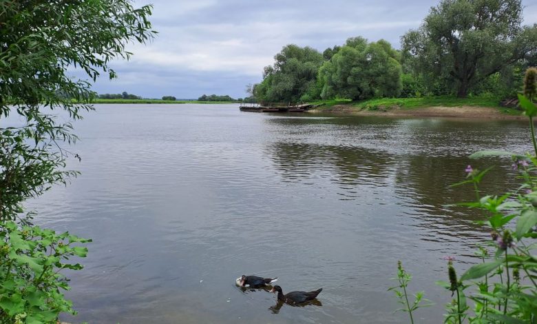 Традиційним видом транспорту на Десні вважається пором