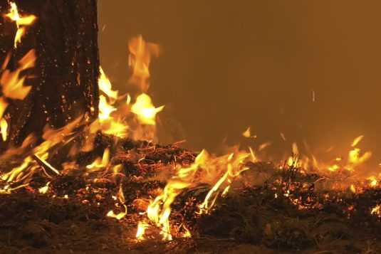 У Чернігові сталася пожежа в підвалі п’ятиповерхівки