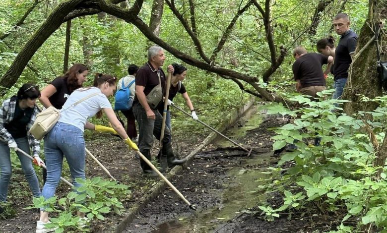 У Ялівщині ожив струмочок (Фото)