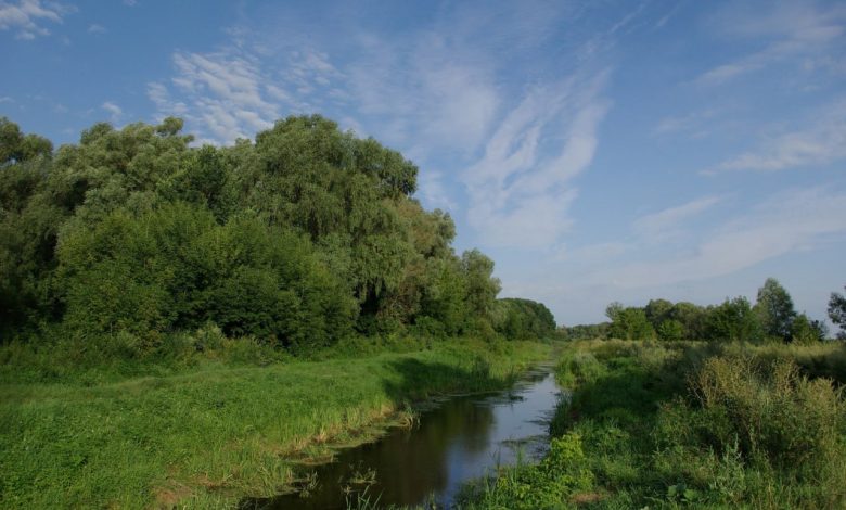 У Ніжинському районі знаходиться регіональний ландшафтний парк із незайманою природою (Фото)