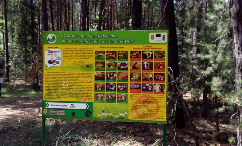 У Ніжинському районі знаходиться регіональний ландшафтний парк із незайманою природою (Фото)