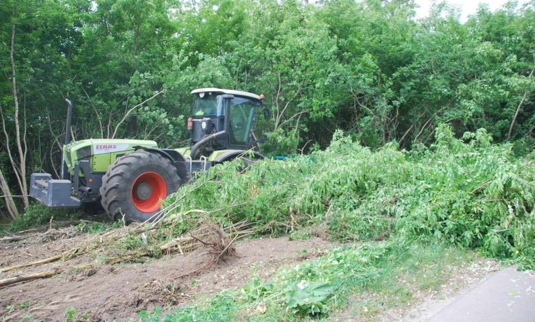 Узбіччя автомобільних доріг на Чернігівщині розчищають від рослинності мульчером (Фото)