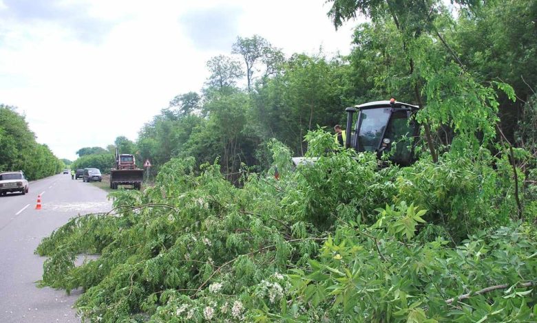 Узбіччя автомобільних доріг на Чернігівщині розчищають від рослинності мульчером (Фото)