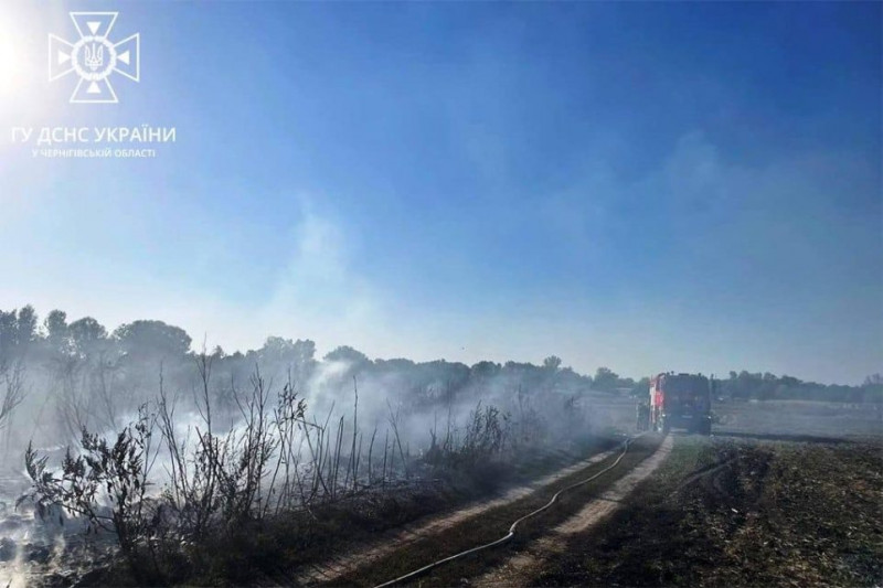 Більше ніж 70 викликів: на Чернігівщині рятувальники за тиждень ліквідували пожежі 