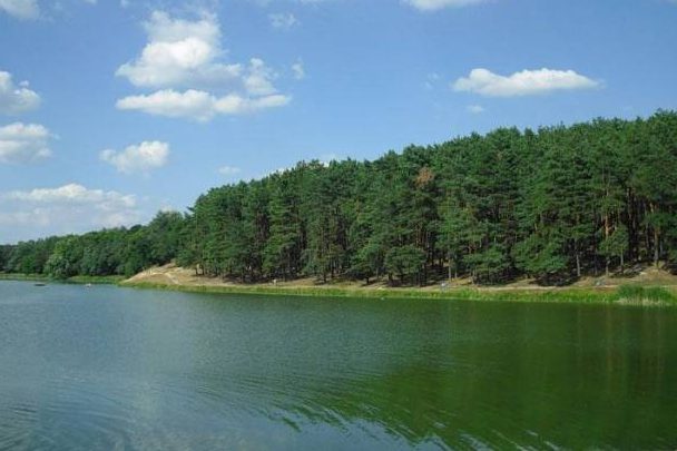 Депутати Чернігівської облради не проголосували за майбутнє Ялівщини