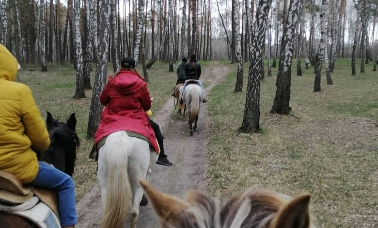 Коні вціліли, кнура та павичів з’їли окупанти: реалії кінної бази в Полуботках