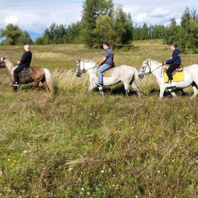 Коні вціліли, кнура та павичів з’їли окупанти: реалії кінної бази в Полуботках