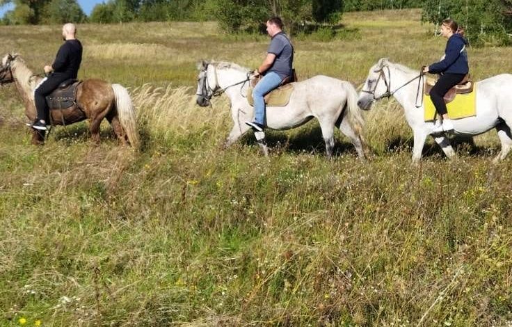 Коні вціліли, кнура та павичів з’їли окупанти: реалії кінної бази в Полуботках