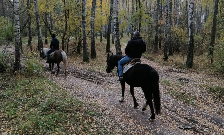 Коні вціліли, кнура та павичів з’їли окупанти: реалії кінної бази в Полуботках