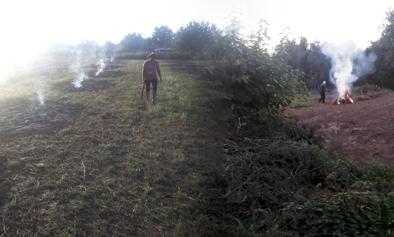 На Чернігівщині двох жителів громади оштрафували за спалювання бадилля