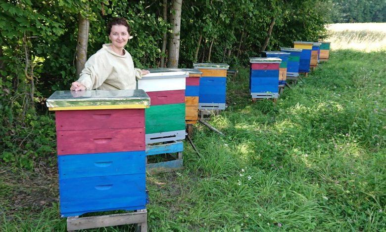На Чернігівщині міні-пасіка збільшила свої потужності