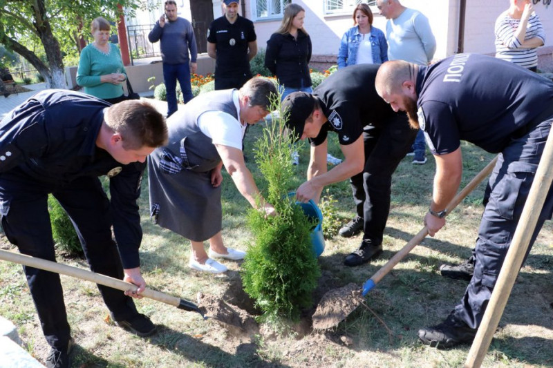 Пам’яті поліцейських: у Чернігові висадили вічнозелені дерева