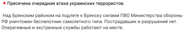 Сусідню з Чернігівщиною Брянську область атакують невідомі безпілотники